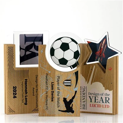 جائزة Wood Hovering Circle الرياضية